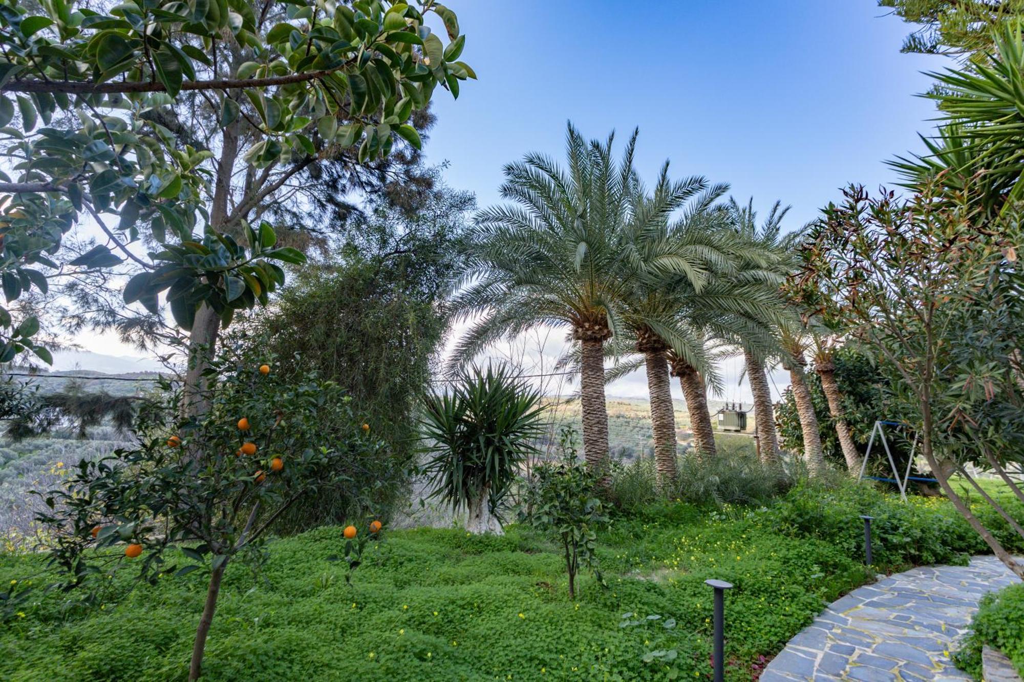 Rose Of Crete Aparthotel Platanés Екстериор снимка